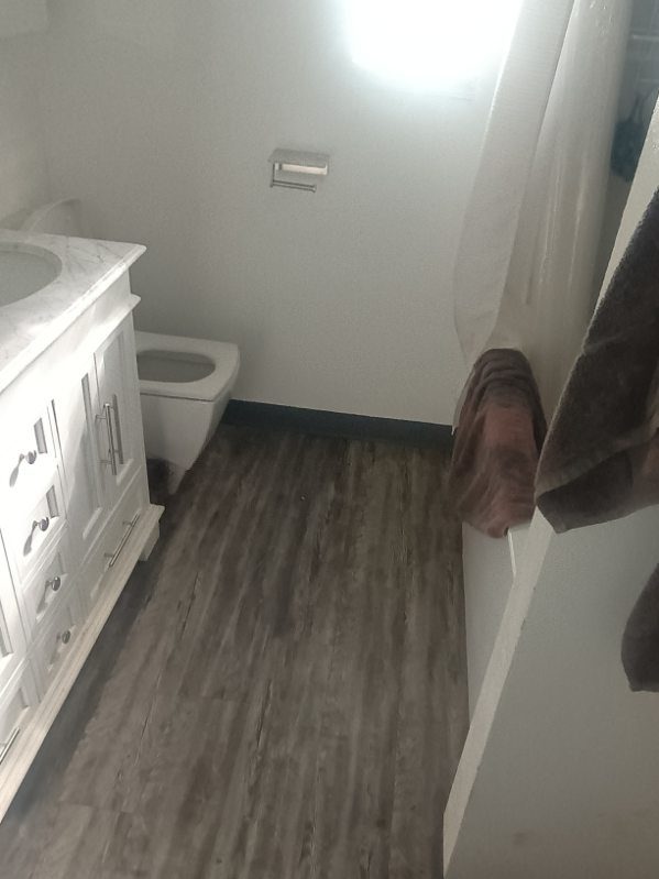 Bright bathroom interior with white vanity, toilet, wood-grain flooring, and shower curtain