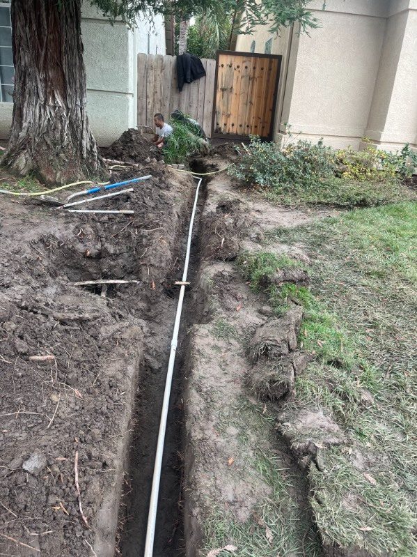 Worker installing white drainage pipe in excavated trench beside tree and building foundation